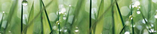 Agrochemicals