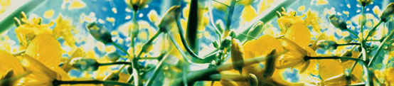 Agrochemicals