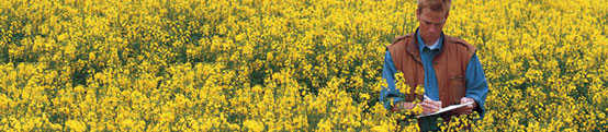 Agrochemicals